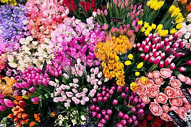 《戴维琼斯》Steam抢先体验 传奇海盗世界冒险